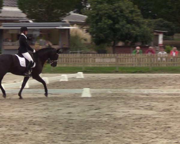 Reitturnier Schülp / Rendsburg 2020