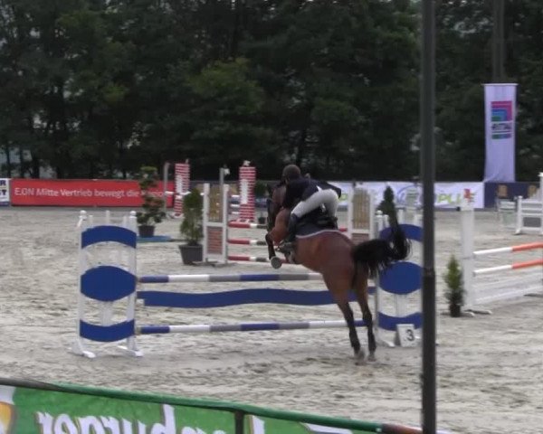 jumper Survivor 4 (Oldenburg, 2003, from Sergeant Pepper I)