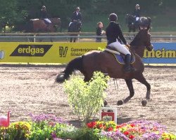 jumper Lantaris Envoy (German Sport Horse, 1999, from Lieber Boy)