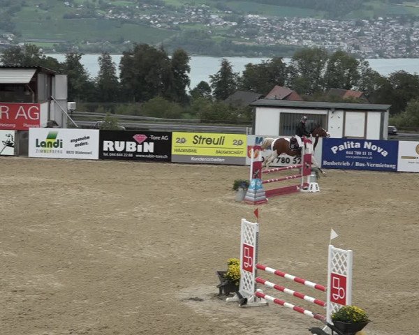 Reitturnier Wädenswil 2020
