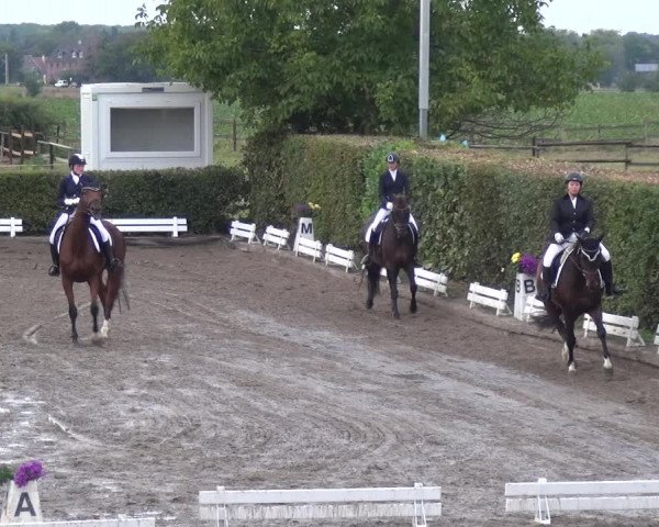 Reitturnier Übach-Palenberg - Scherpenseel 2020