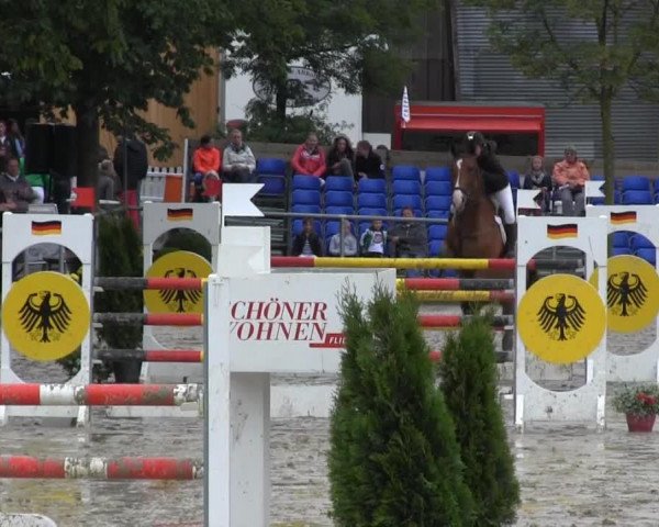 Zuchtstute Grannenza Jb CH (Schweizer Warmblut, 2002, von Henzo)