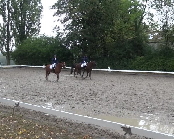 Reitturnier Leverkusen - Teitscheider Hof 2020