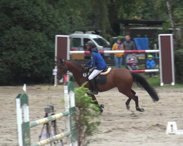 Reitturnier Leverkusen - Teitscheider Hof 2020