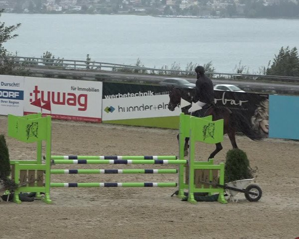 Reitturnier Wädenswil 2020
