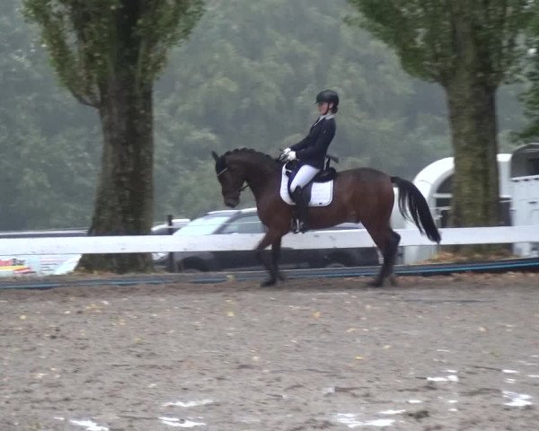 Reitturnier Leverkusen - Teitscheider Hof 2020