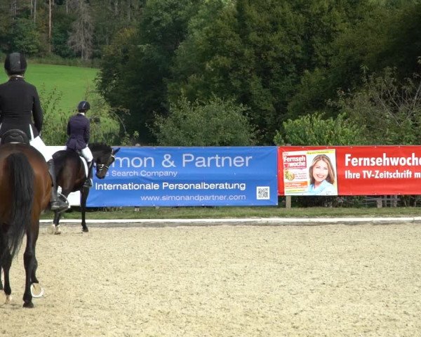 Reitturnier Hof Bettenrode 2020