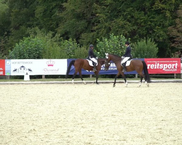 Reitturnier Hof Bettenrode 2020
