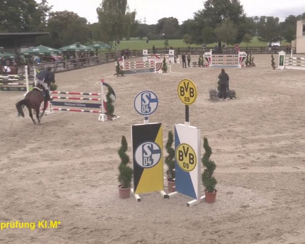 Reitturnier Kirchhellen/Stall Dieckmann 2020