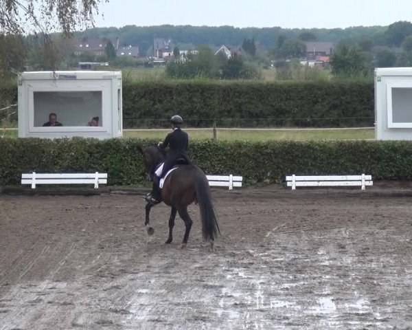 Reitturnier Übach-Palenberg - Scherpenseel 2020