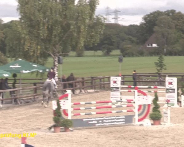 Reitturnier Kirchhellen/Stall Dieckmann 2020