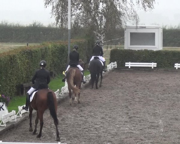 Reitturnier Übach-Palenberg - Scherpenseel 2020