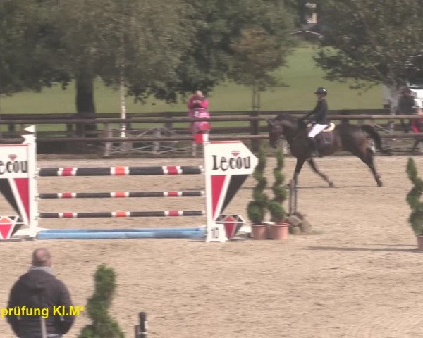 Reitturnier Kirchhellen/Stall Dieckmann 2020