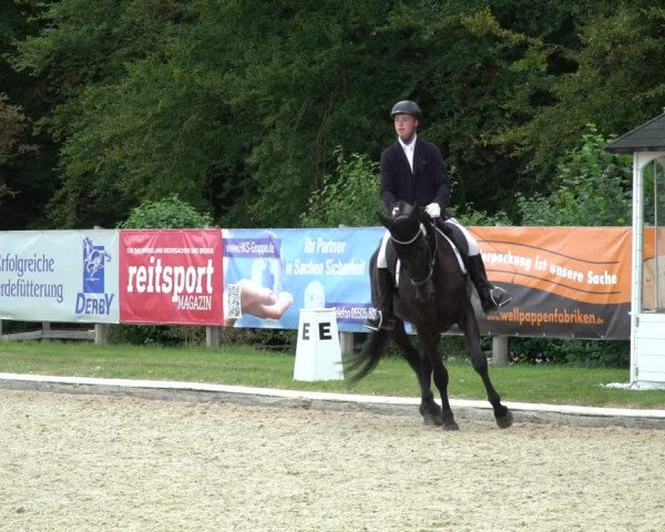 Reitturnier Hof Bettenrode 2020