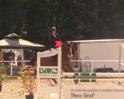 Springpferd Tiano 2 (Westfale, 2010, von Tinka's Boy)