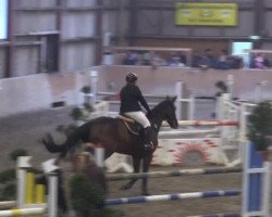 broodmare Souzanna M (Hanoverian, 2008, from Satisfaction FRH)