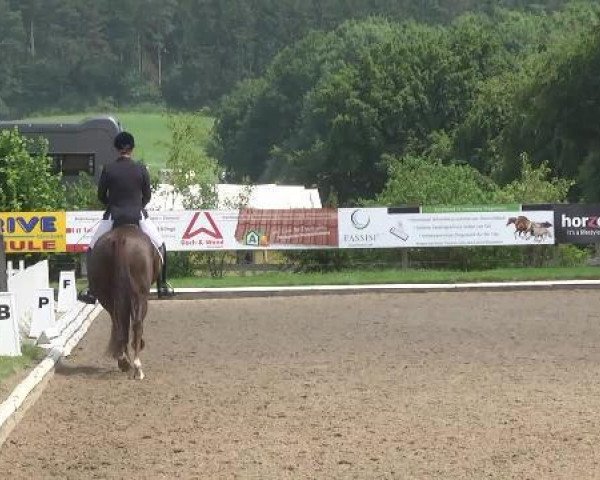 dressage horse Flora B 3 (Hanoverian, 2009, from For Compliment)
