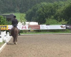 dressage horse Flora B 3 (Hanoverian, 2009, from For Compliment)