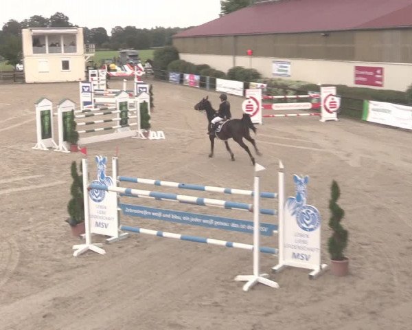 Reitturnier Kirchhellen/Stall Dieckmann 2020