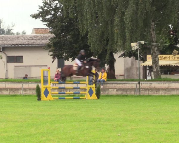 Reitturnier Altmittweida 2021