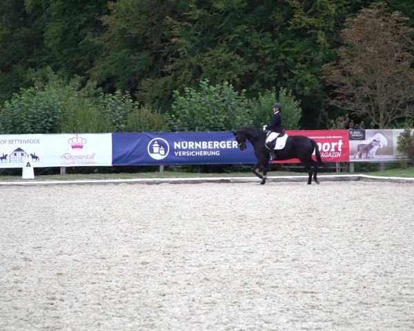 Reitturnier Hof Bettenrode 2020