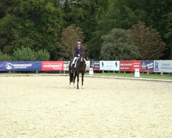 Reitturnier Hof Bettenrode 2020
