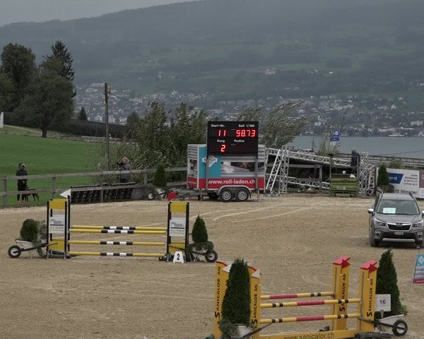Reitturnier Wädenswil 2020