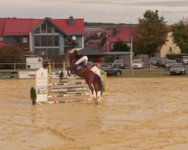 Reitturnier Dingelstädt 2020