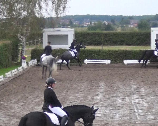 Reitturnier Übach-Palenberg - Scherpenseel 2020