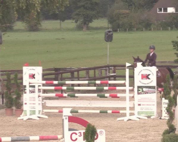 Reitturnier Kirchhellen/Stall Dieckmann 2020