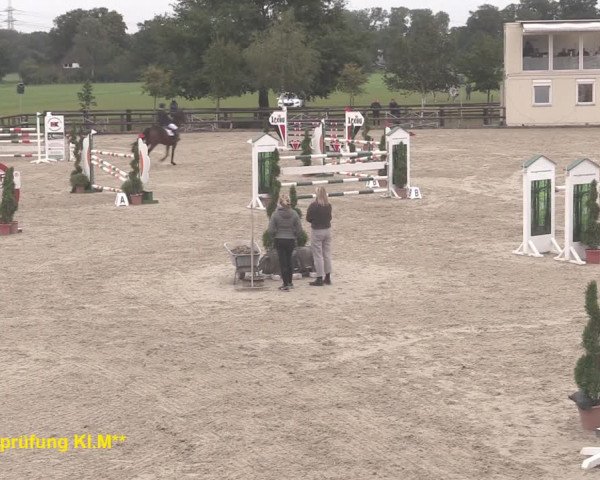 Reitturnier Kirchhellen/Stall Dieckmann 2020