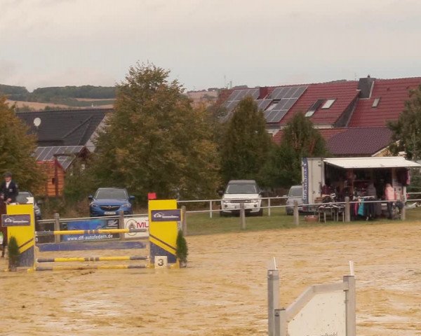 Reitturnier Dingelstädt 2020
