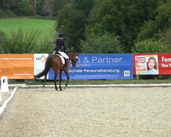 Reitturnier Hof Bettenrode 2020