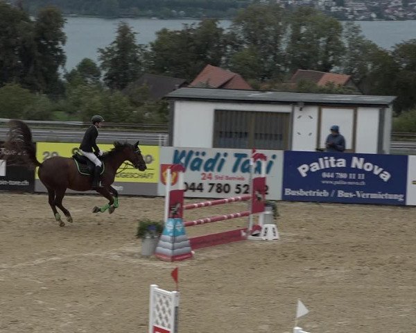 Reitturnier Wädenswil 2020