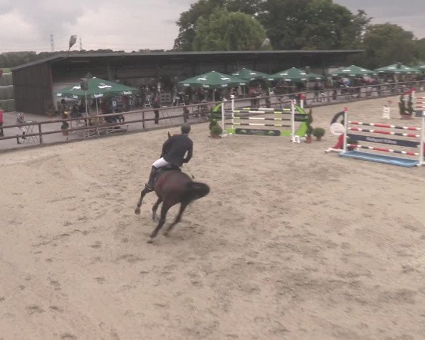 Reitturnier Kirchhellen/Stall Dieckmann 2020