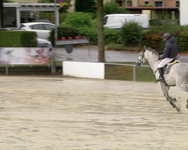 Reitturnier Schutterwald 2020