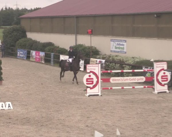 Reitturnier Kirchhellen/Stall Dieckmann 2020