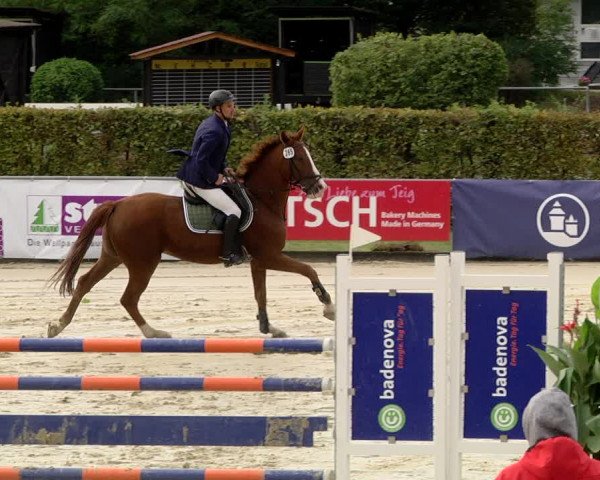 Reitturnier Schutterwald 2020