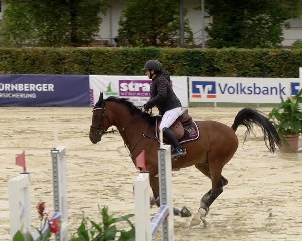 Reitturnier Schutterwald 2020