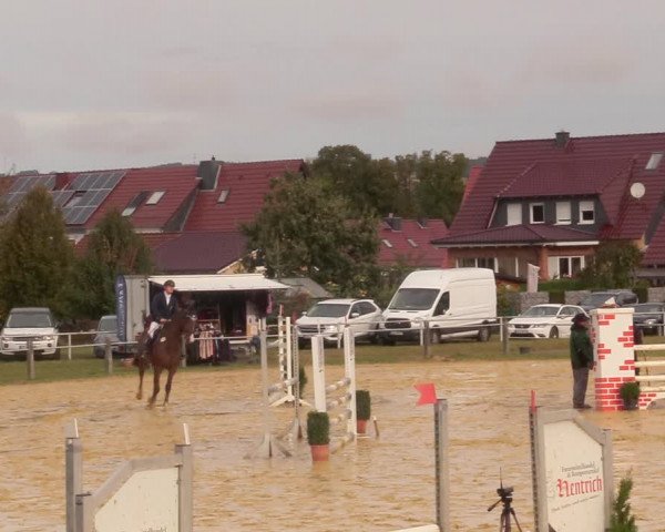Reitturnier Dingelstädt 2020