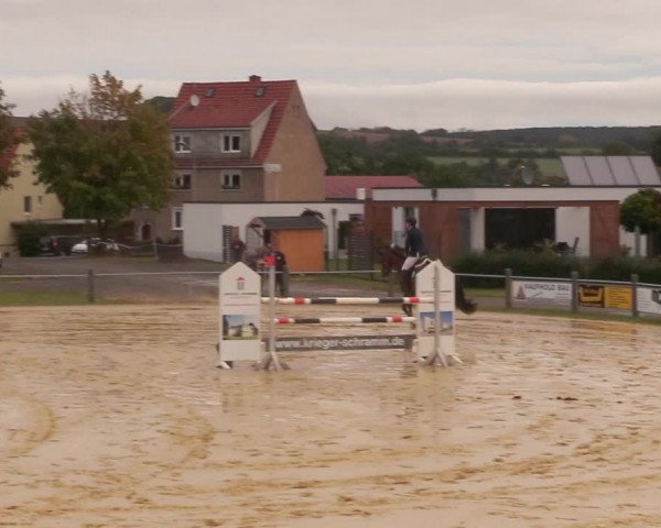 Reitturnier Dingelstädt 2020