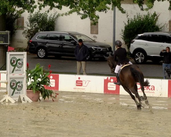 Reitturnier Schutterwald 2020