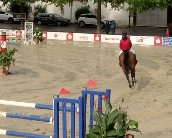 Reitturnier Schutterwald 2020