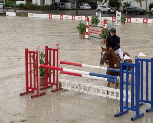 Reitturnier Schutterwald 2020