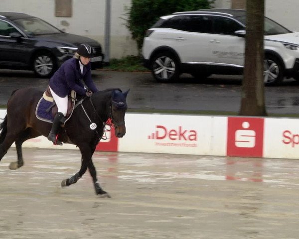 Reitturnier Schutterwald 2020