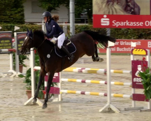 Reitturnier Schutterwald 2020