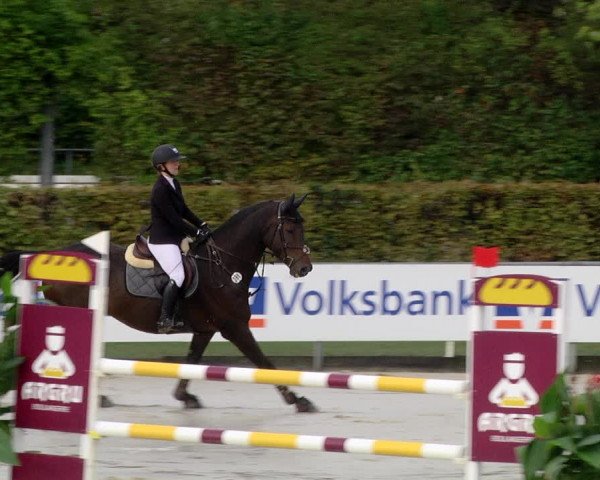 Reitturnier Schutterwald 2020