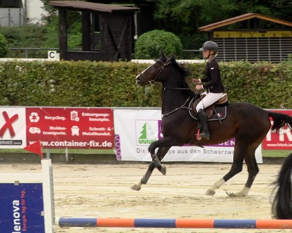 Reitturnier Schutterwald 2020