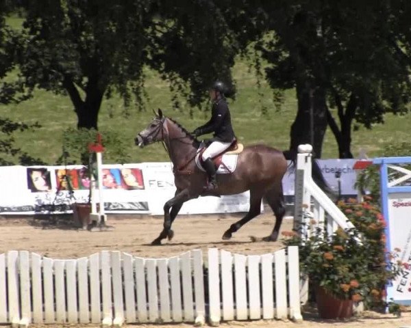 broodmare Abizza T (Rhinelander, 2008, from Acorado's Ass)