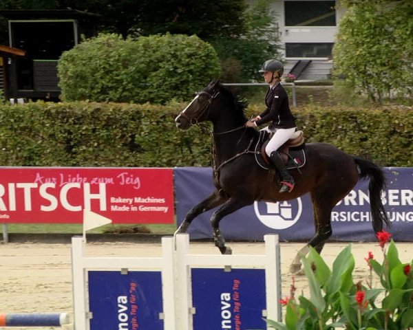 Reitturnier Schutterwald 2020